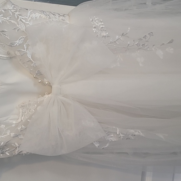 Lace Tulle Ball Gowns with Bow-Knot - Picture 9 of 9